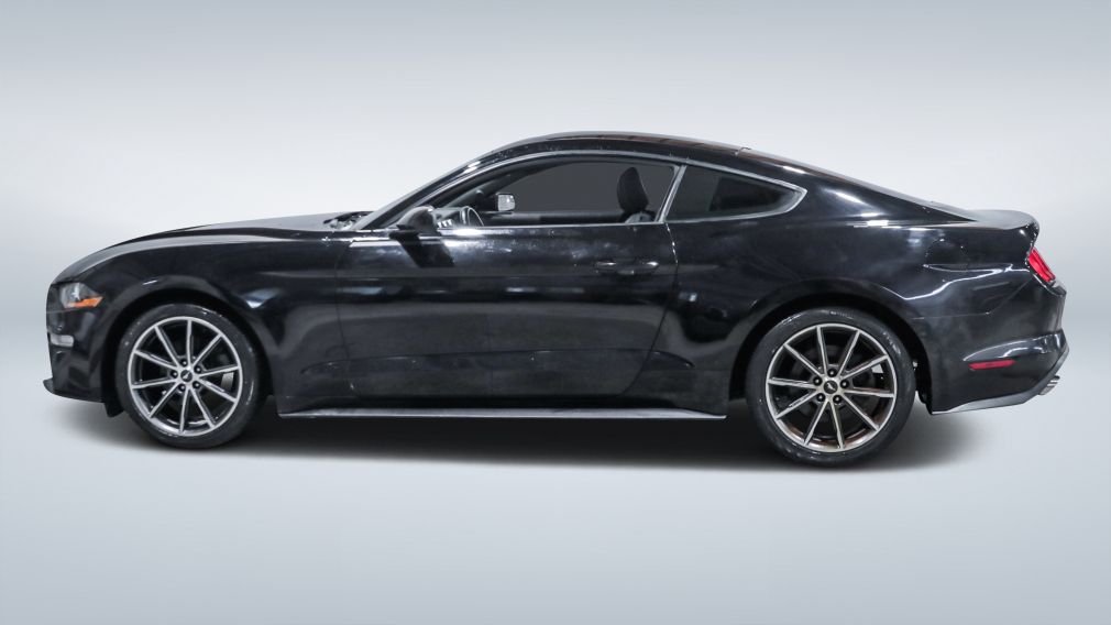 Ford Mustang EcoBoost 2019 à vendre à Shawinigan - 4