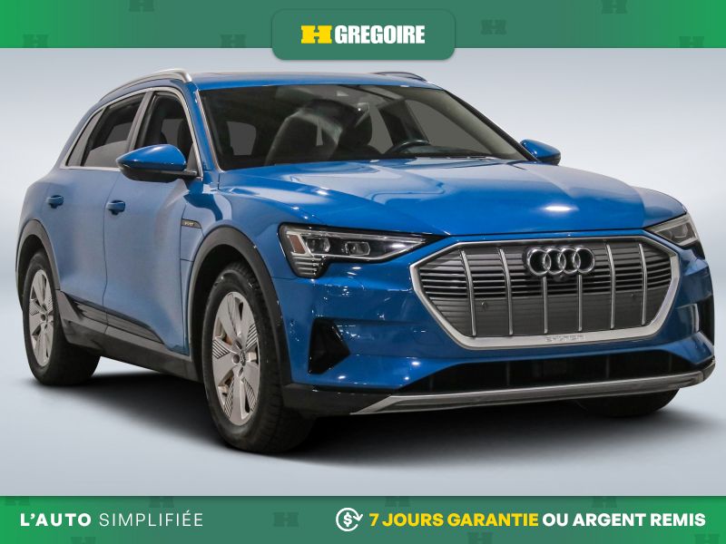 2019 Audi e-tron Technik quattro AWD
