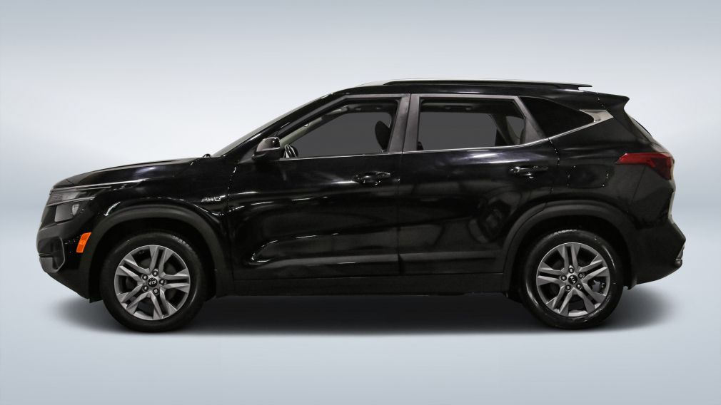 Kia Seltos EX 2021 d&rsquo;occasion à vendre - 4