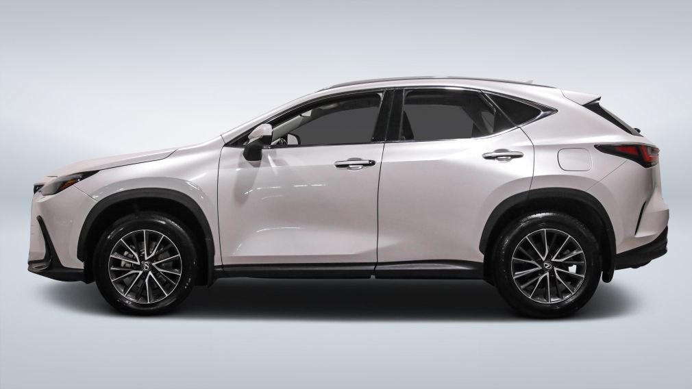 Lexus NX NX 250 2024 d&rsquo;occasion à vendre - 4
