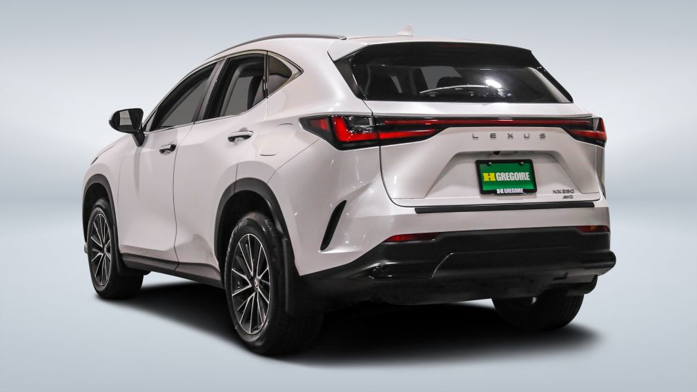 Lexus NX NX 250 2024 d&rsquo;occasion à vendre - 5