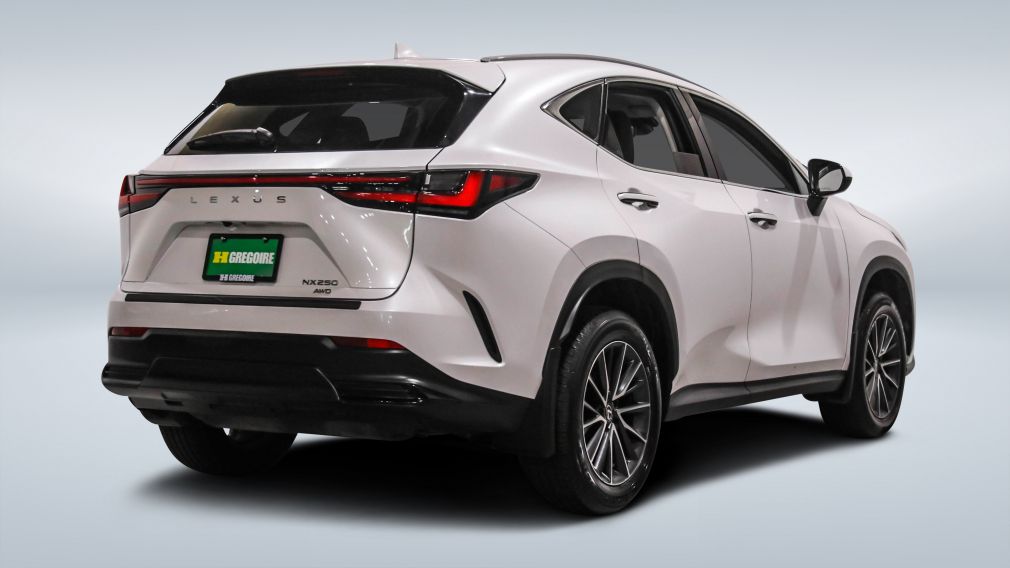 Lexus NX NX 250 2024 d&rsquo;occasion à vendre - 7