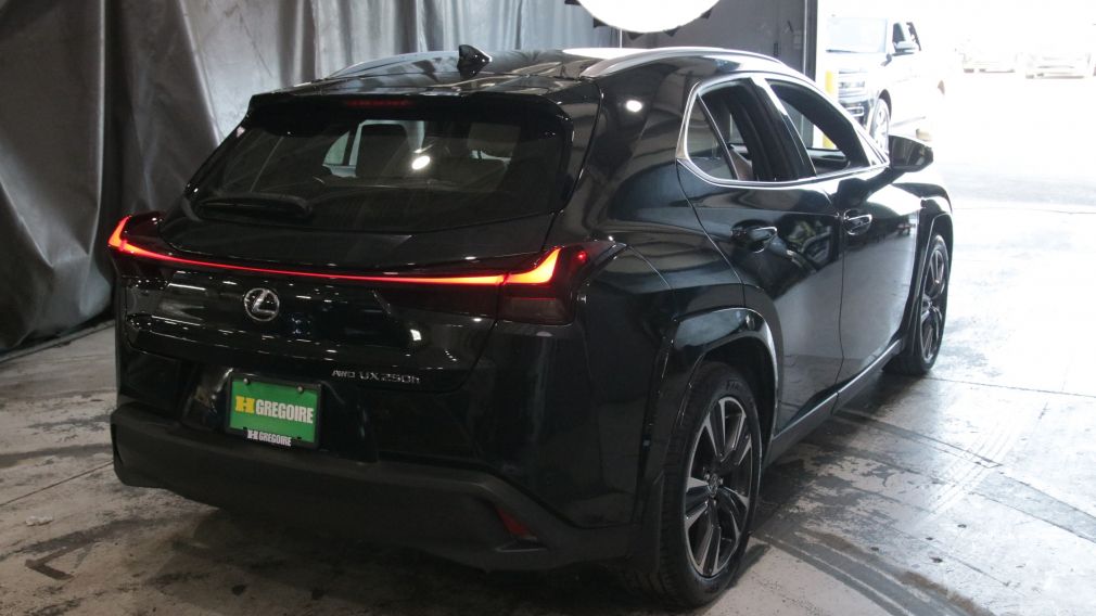 Lexus UX 250H UX 250h 2023 d&rsquo;occasion à vendre - 6