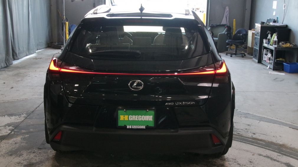 Lexus UX 250H UX 250h 2023 d&rsquo;occasion à vendre - 5