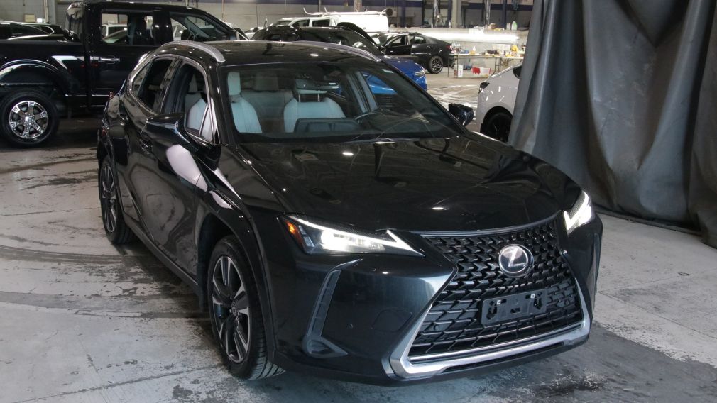 Lexus UX 250H UX 250h 2023 d&rsquo;occasion à vendre - 1