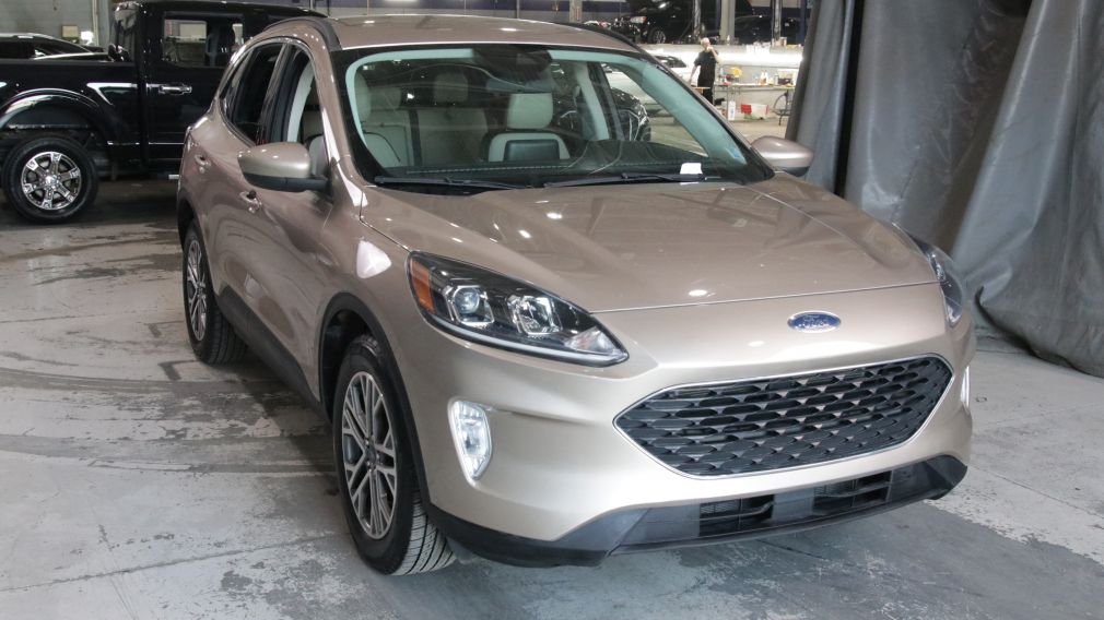 Ford Escape SEL Hybrid