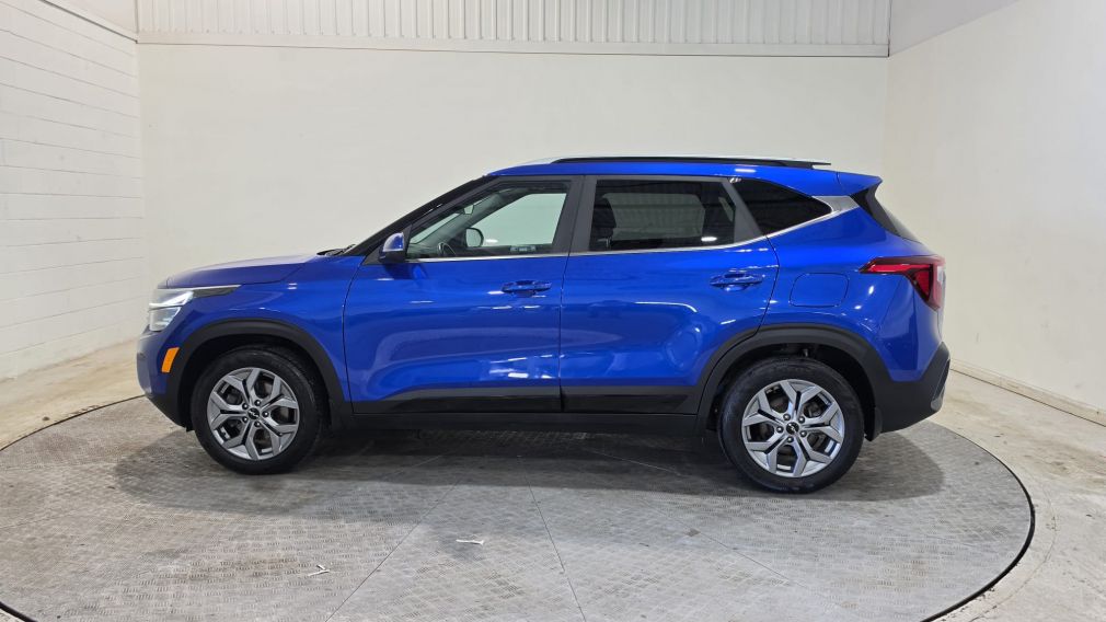 Kia Seltos EX 2024 d&rsquo;occasion à vendre - 15