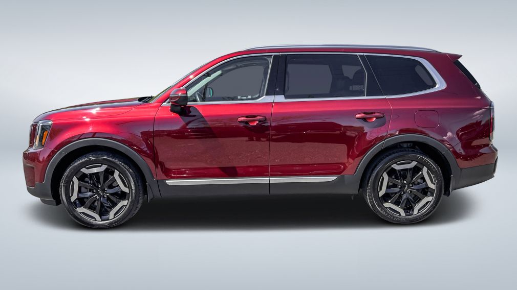 Kia Telluride EX 2024 d&rsquo;occasion à vendre - 4