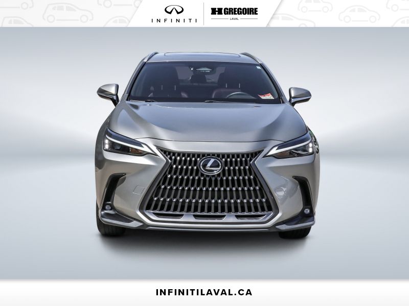 Lexus NX 2024