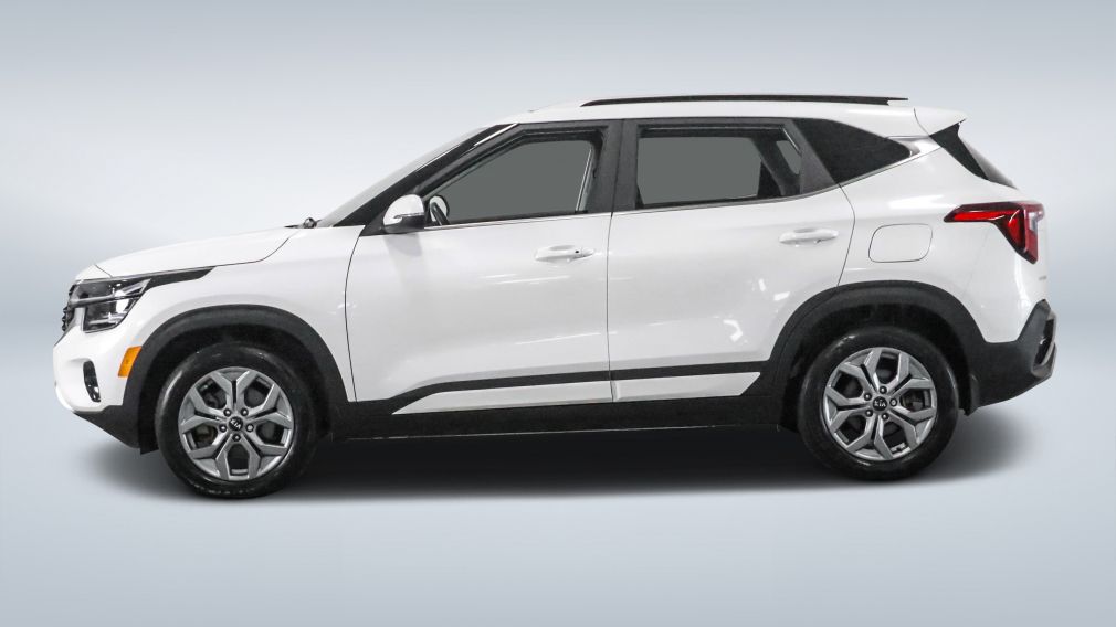 Kia Seltos EX 2025 d&rsquo;occasion à vendre - 4