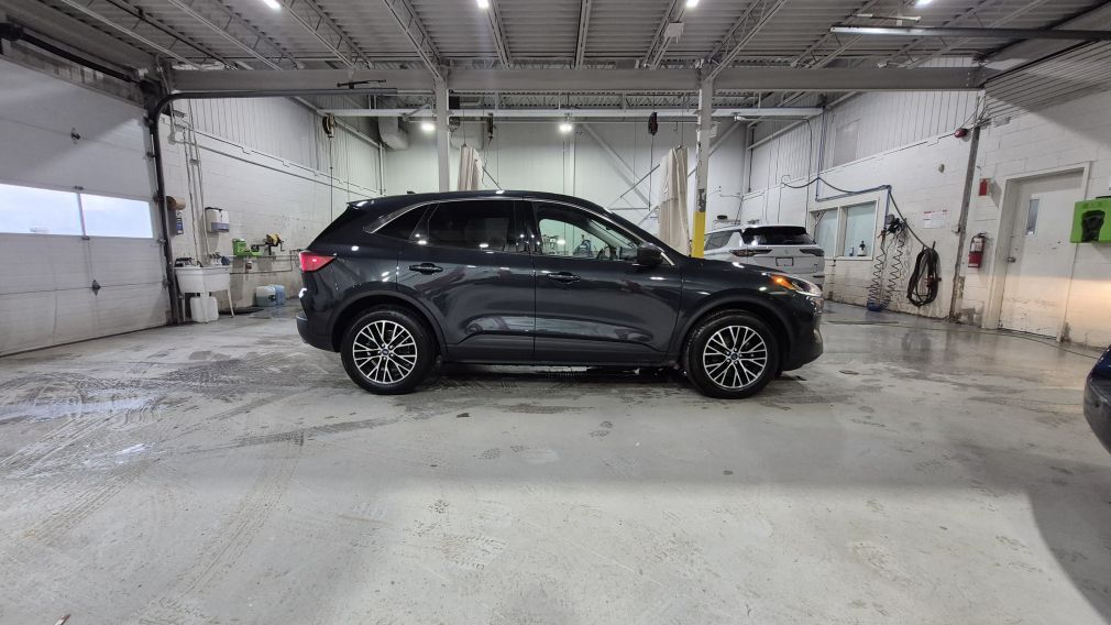 Ford Escape SE Plug-In Hybrid 2022 à vendre à Donnacona - 8