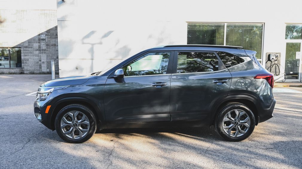 Kia Seltos EX 2025 d&rsquo;occasion à vendre - 4