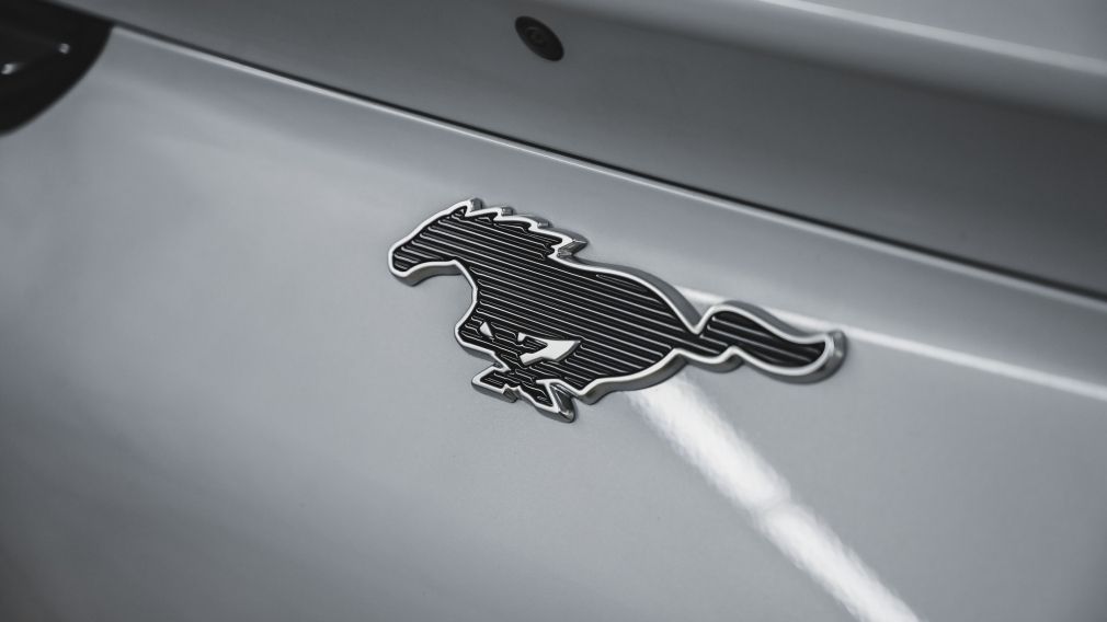 Ford Mustang Mach-E Premium 2023 d&rsquo;occasion à vendre - 11