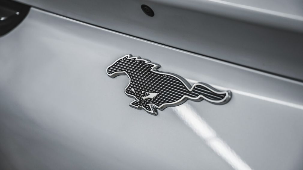 Ford Mustang Mach-E Premium 2023 d&rsquo;occasion à vendre - 11