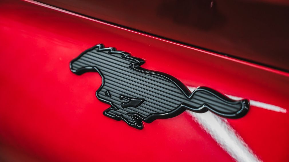 Ford Mustang Mach-E Premium 2023 d&rsquo;occasion à vendre - 11