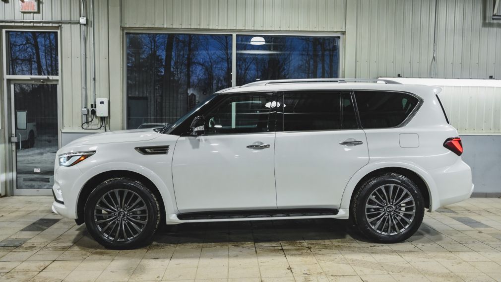 Infiniti QX80 ProACTIVE 2023 d&rsquo;occasion à vendre - 4