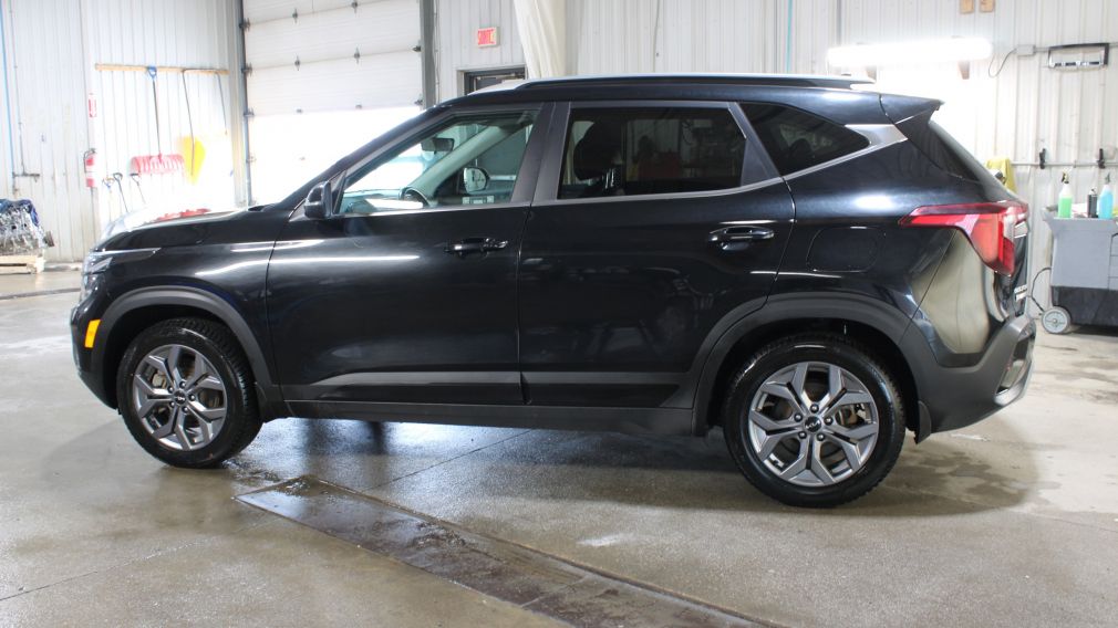 Kia Seltos EX 2024 d&rsquo;occasion à vendre - 4