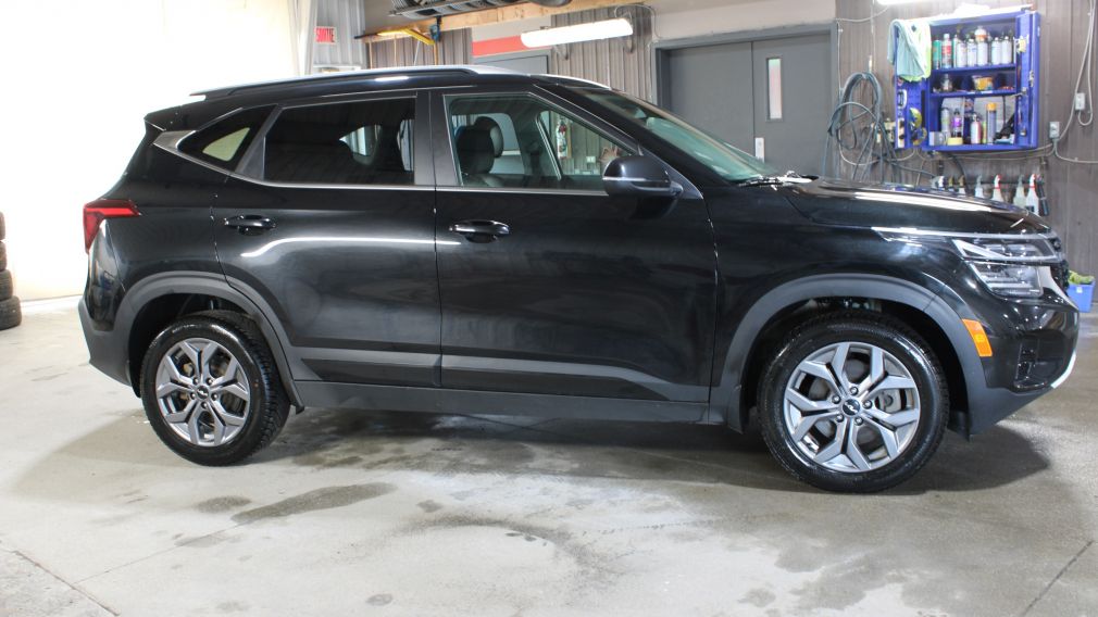 Kia Seltos EX 2024 d&rsquo;occasion à vendre - 8