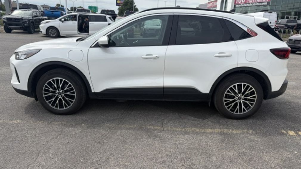 Ford Escape PHEV 2024 d&rsquo;occasion à vendre - 5