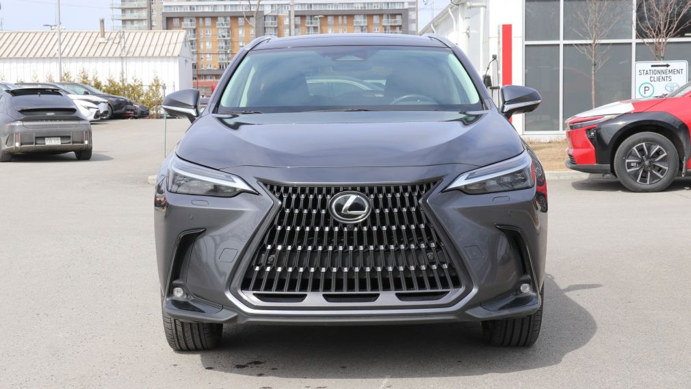 Lexus NX NX 350h 2023 d&rsquo;occasion à vendre - 2
