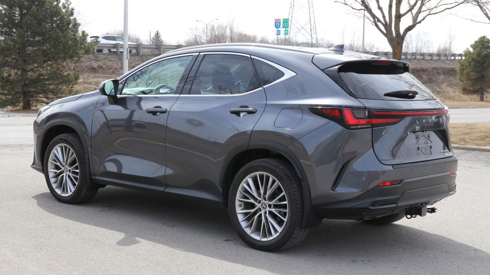 Lexus NX NX 350h 2023 d&rsquo;occasion à vendre - 5