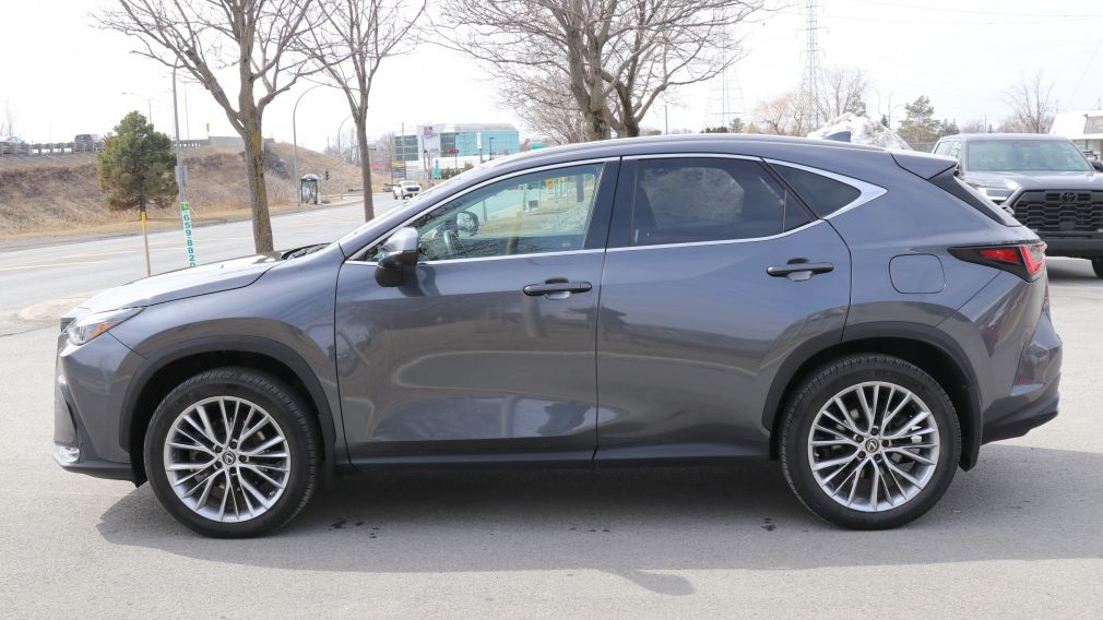Lexus NX NX 350h 2023 d&rsquo;occasion à vendre - 4