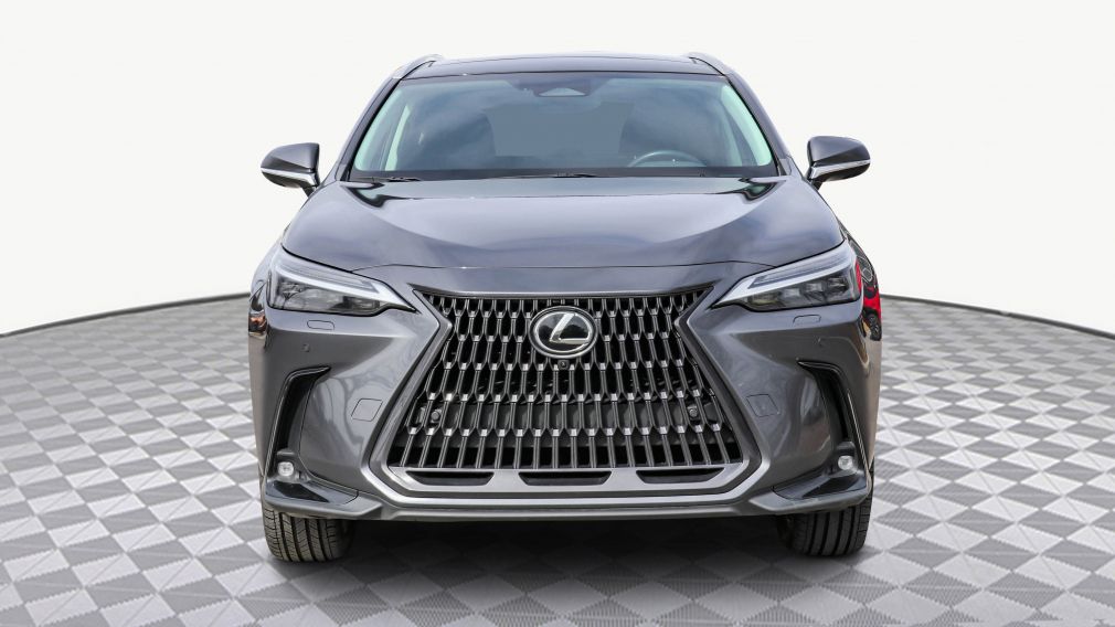 Lexus NX NX 350h 2023 d&rsquo;occasion à vendre - 2