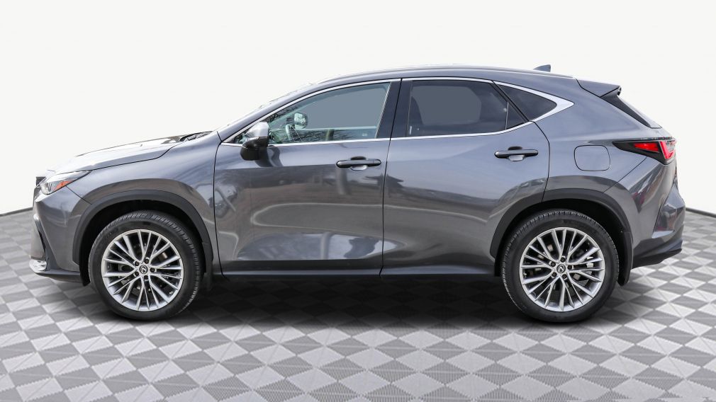 Lexus NX NX 350h 2023 d&rsquo;occasion à vendre - 4