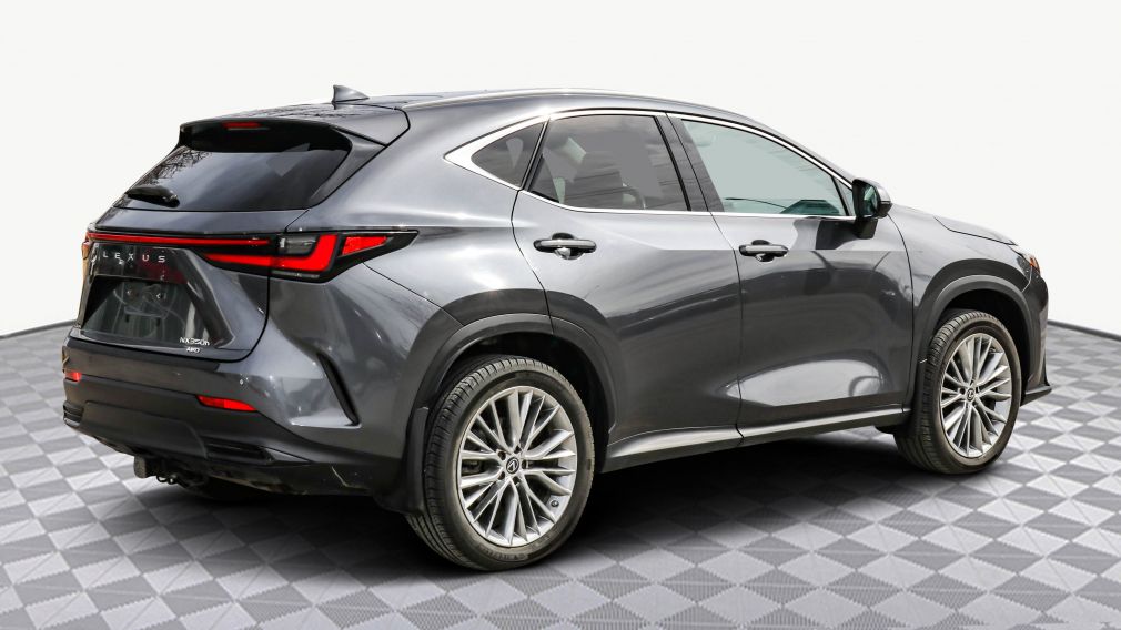 Lexus NX NX 350h 2023 d&rsquo;occasion à vendre - 7