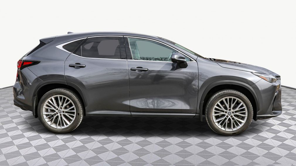 Lexus NX NX 350h 2023 d&rsquo;occasion à vendre - 8
