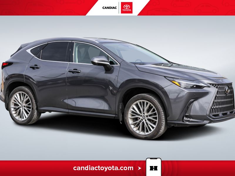Lexus NX Hybrid 350h AWD 2023