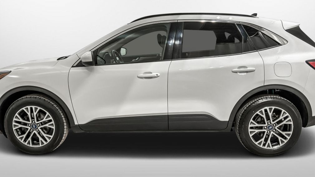 Ford Escape SEL 2020 d&rsquo;occasion à vendre - 4